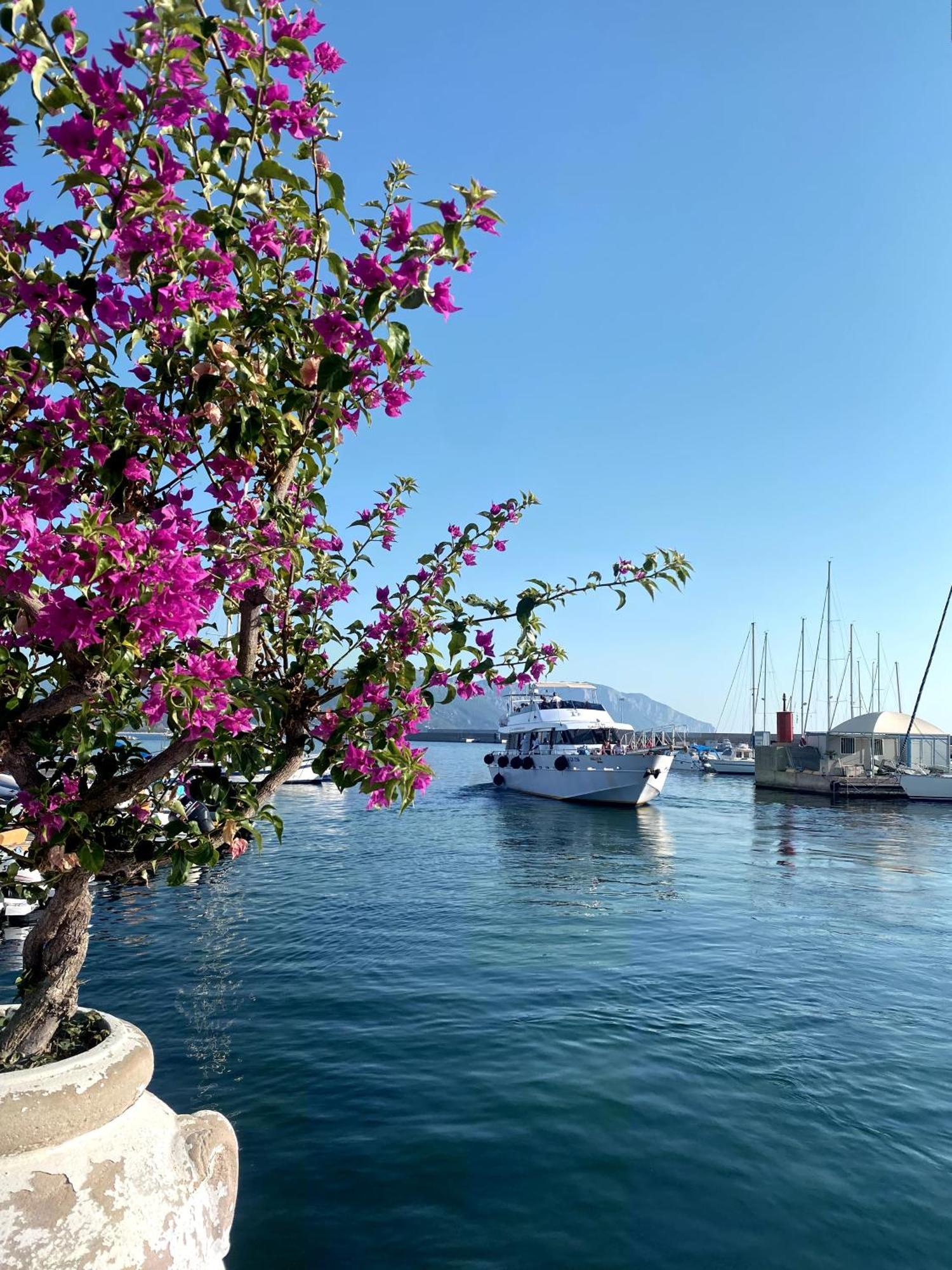 Domo Annalisa Hotel Tortoli Luaran gambar